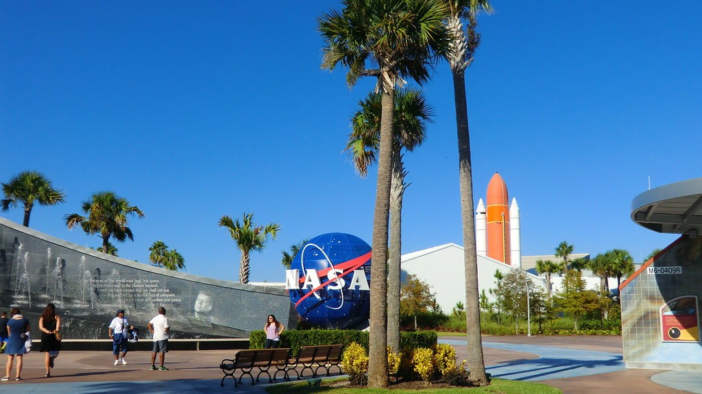 How many plants does nasa recommend?